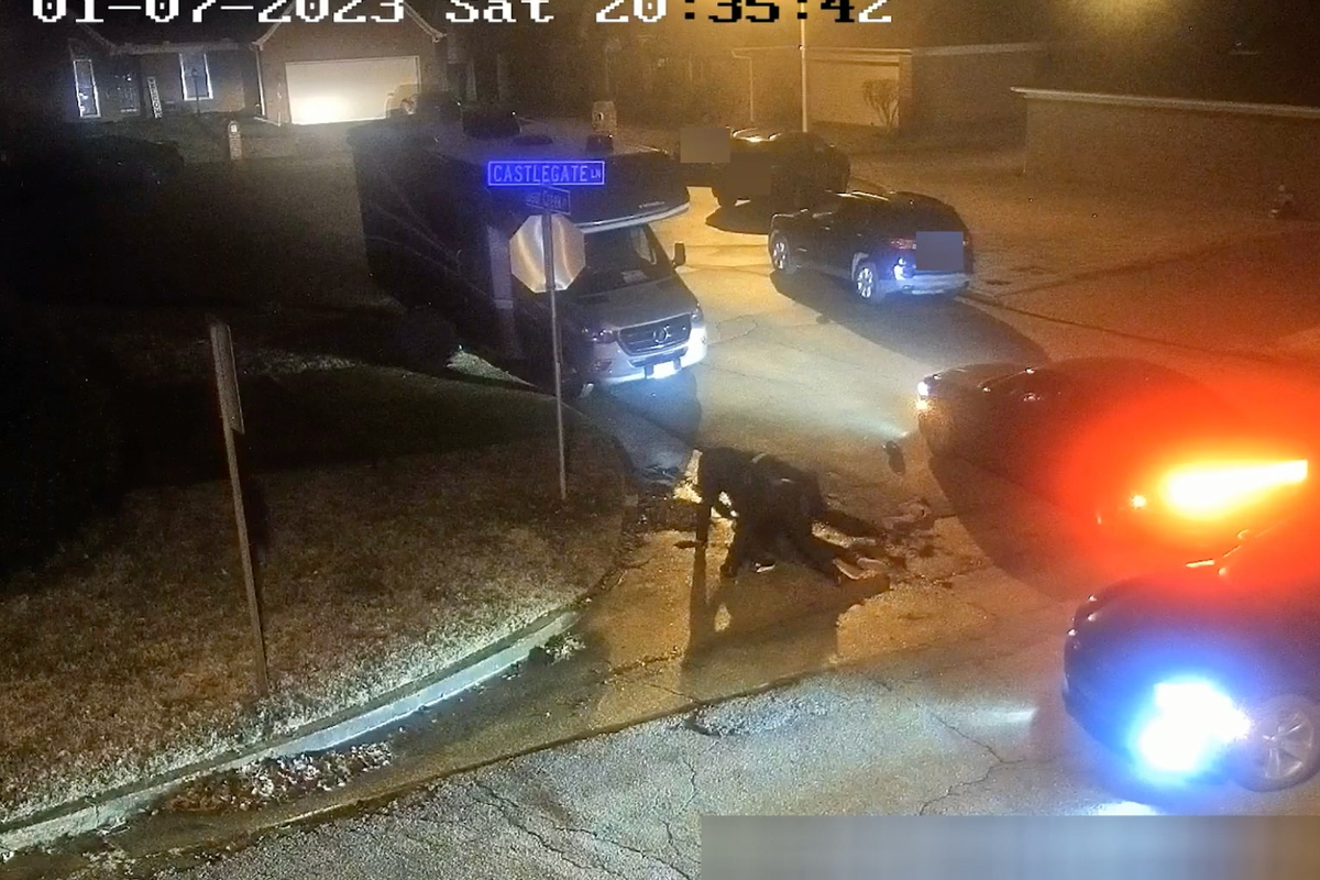 The Problem With Police Reform Is That Police Already Know It's Bad To Beat People To Death