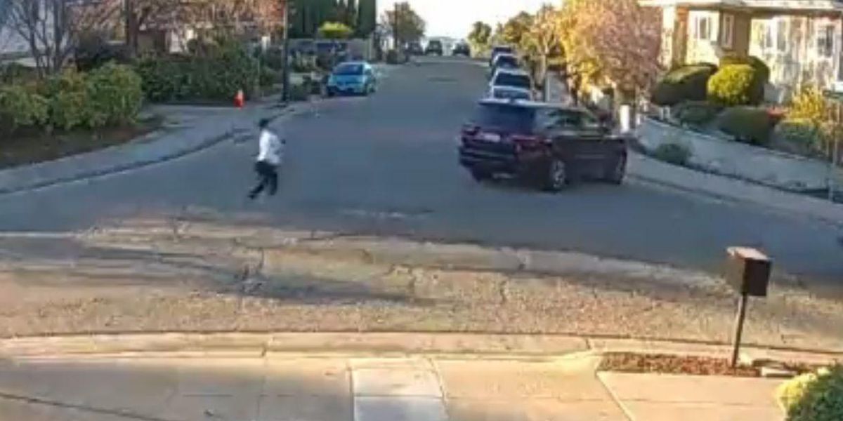 Mother chases down attempted carjacker who almost drives off with son in vehicle – video