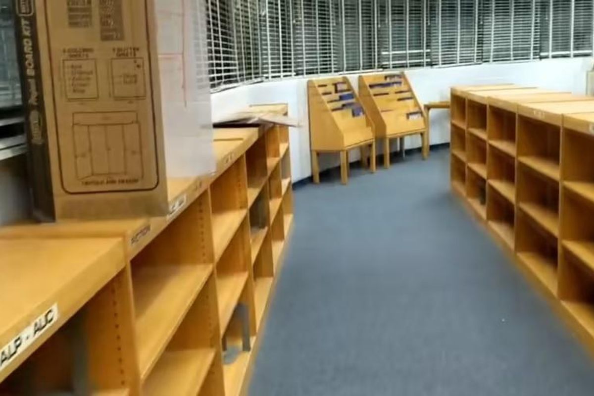 Ron DeSantis Book Censorship Empties School Libraries, Makes Little Kids Cry
