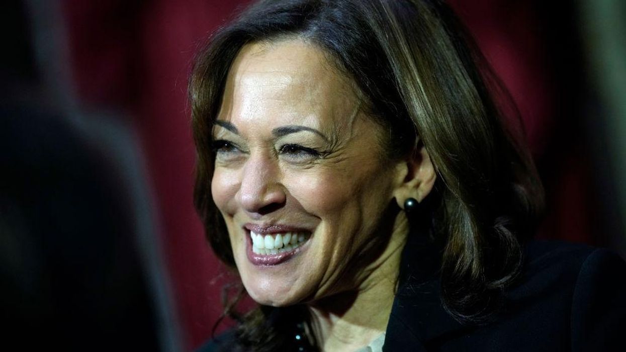 'We already have hurdles. Let’s not create more': Democrats dubious about Kamala Harris' political future, impact on 2024 election