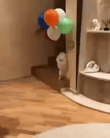 Will White House Tell Us The Balloon Secrets In Today's Press Briefing?