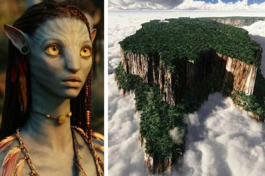 avatar way of water, avatar filming location, mount roraima