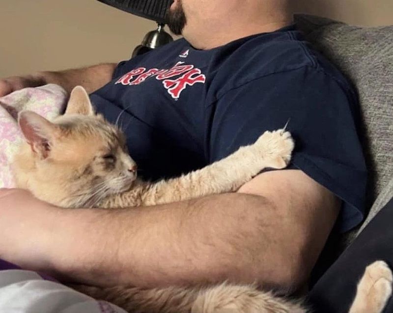 cat snuggling man