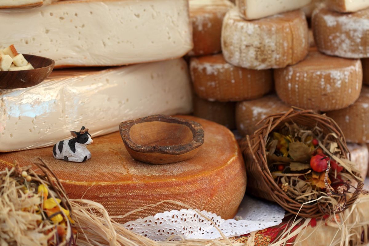 Fontina. Il simbolo della Valle d’Aosta che nasce in vetta ed è grande fonte di fermenti vivi
