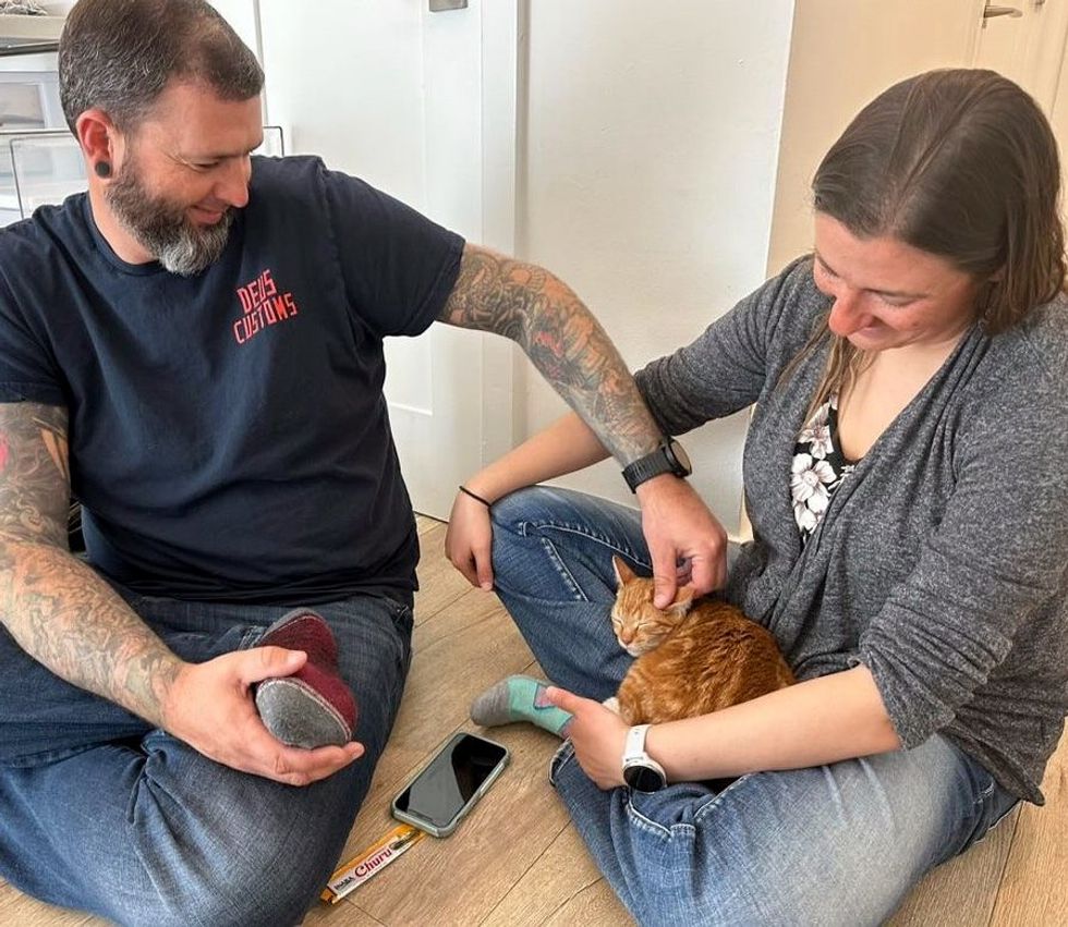 happy kitten lap time