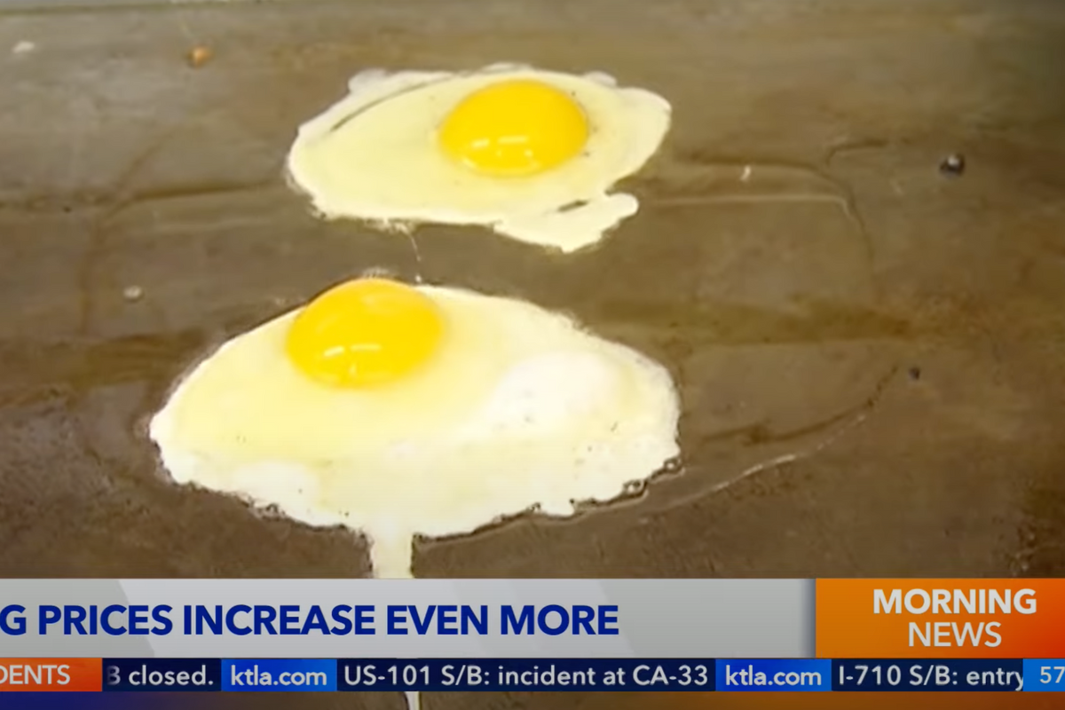 More Eggs-cruciating Details About The Nation's Egg Shortage