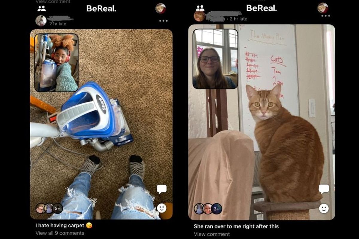 BeReal photos, vacuum, orange cat
