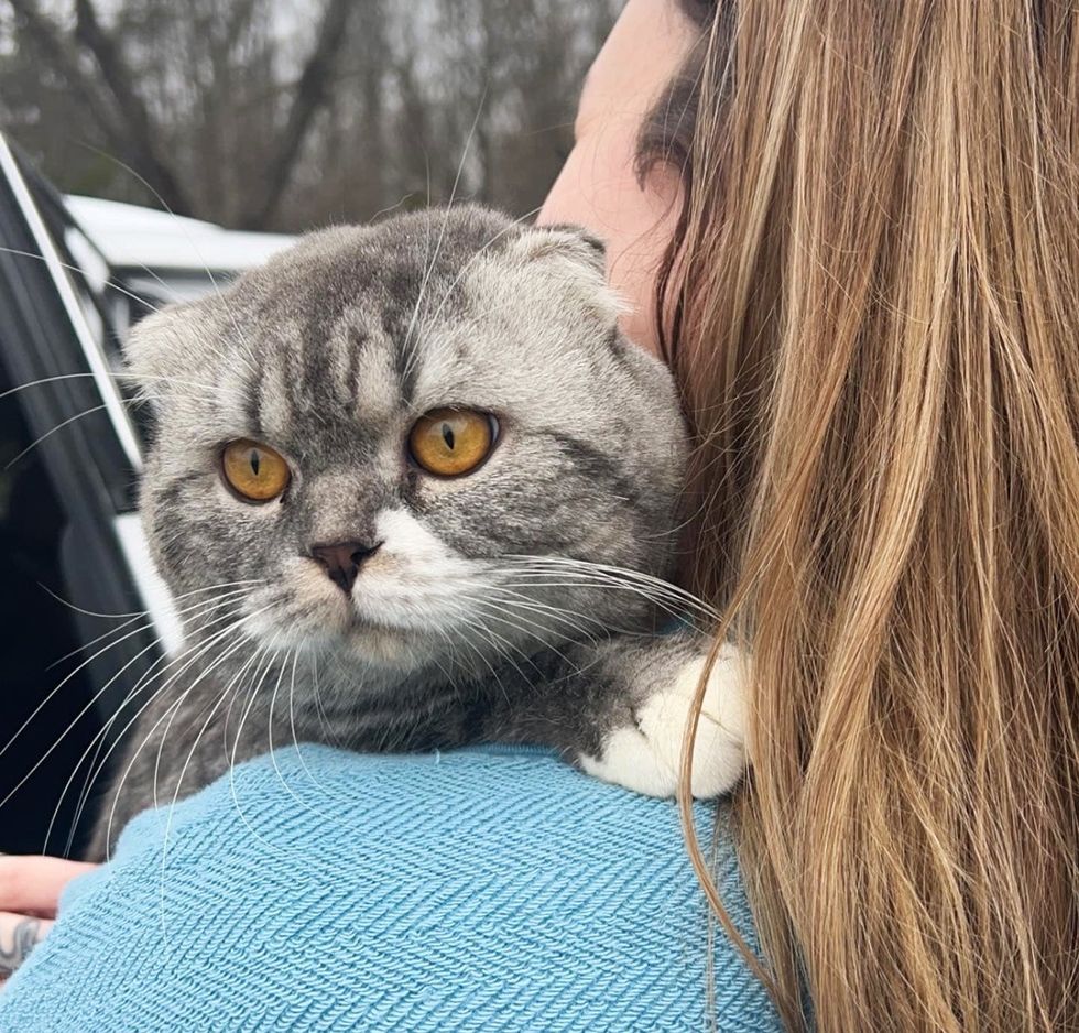 cat snuggling shoulder