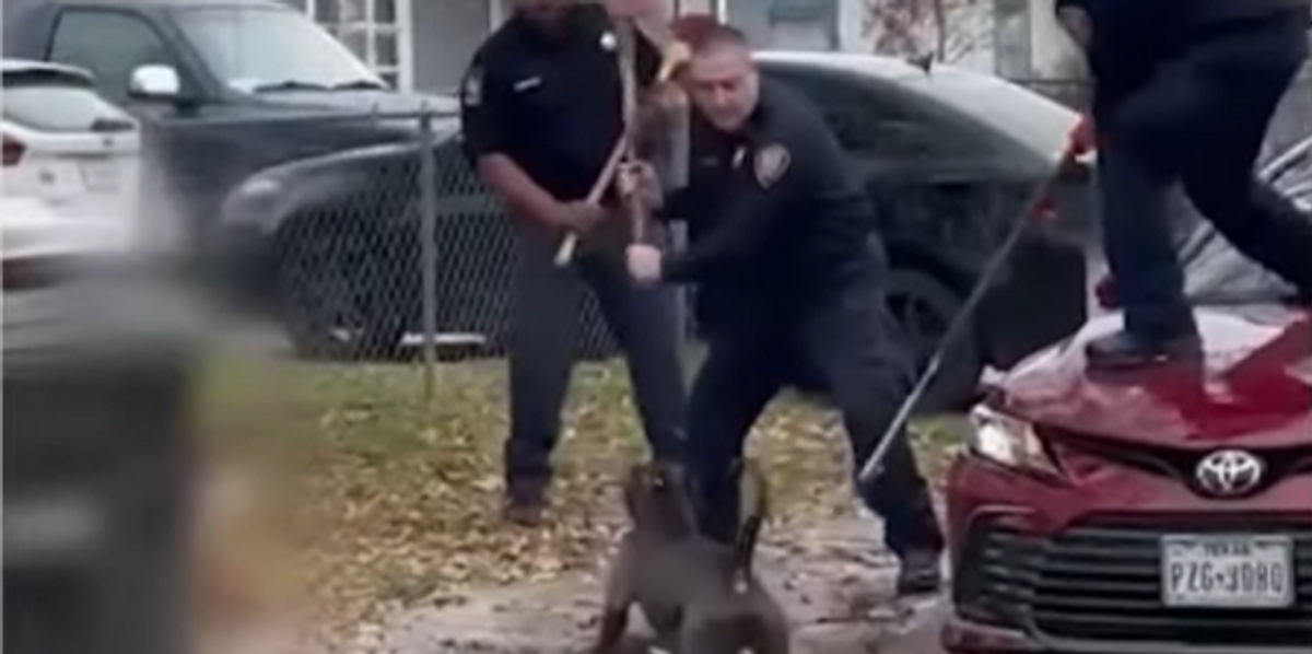 A Texas man was mauled to death in a dog attack in San Antonio