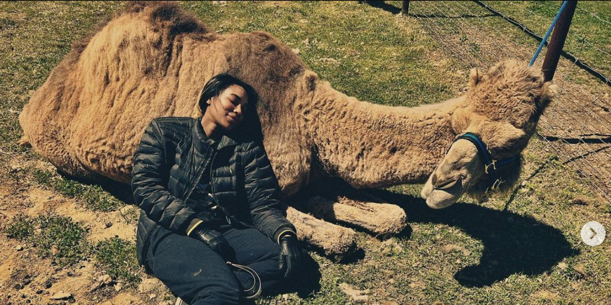 5 Celebrities Who Spend Their Downtime On Their Farm