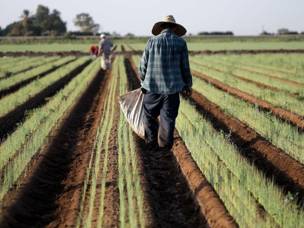 Chinese investors own 384K acres of US agricultural land: Report Chinese investors own 384K acres of US agricultural land: Report