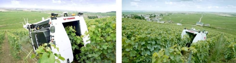 a photo of Yanmar YV01 robot spraying vines in a vineyard