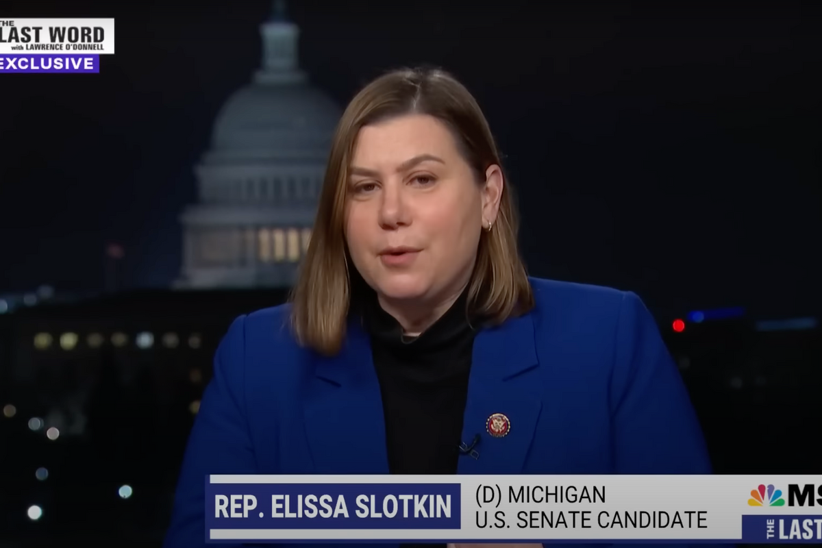 Michigan, Meet Your Next Democratic Senator Elissa Slotkin!