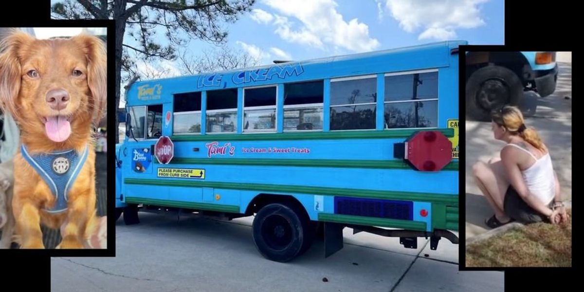 Police find meth, puppies inside ice cream truck that ends without blue school bus