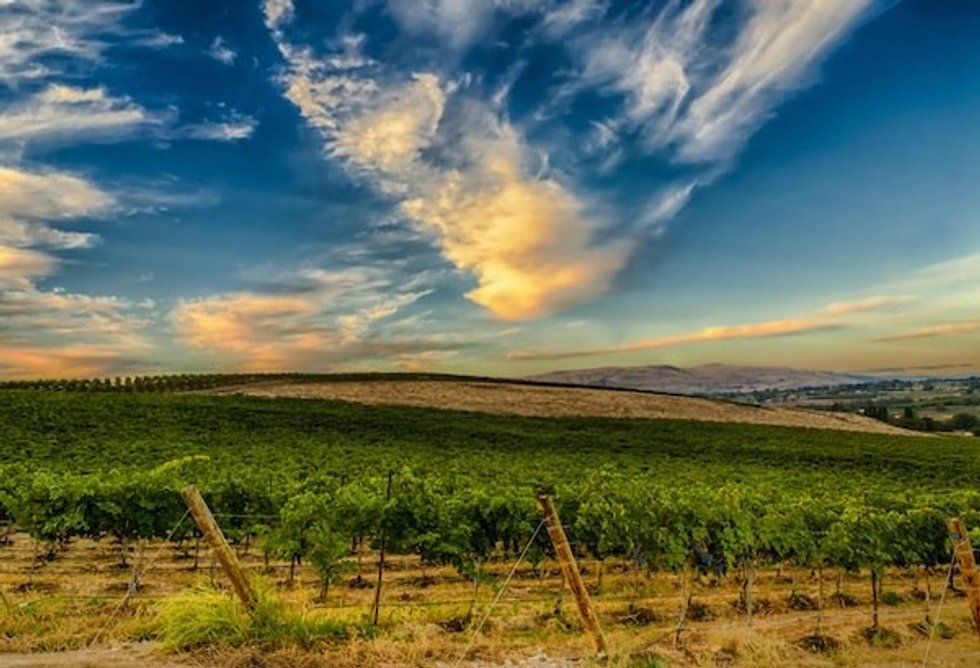 Sun's Out: Style Guides for a Summer in the Sunshine State