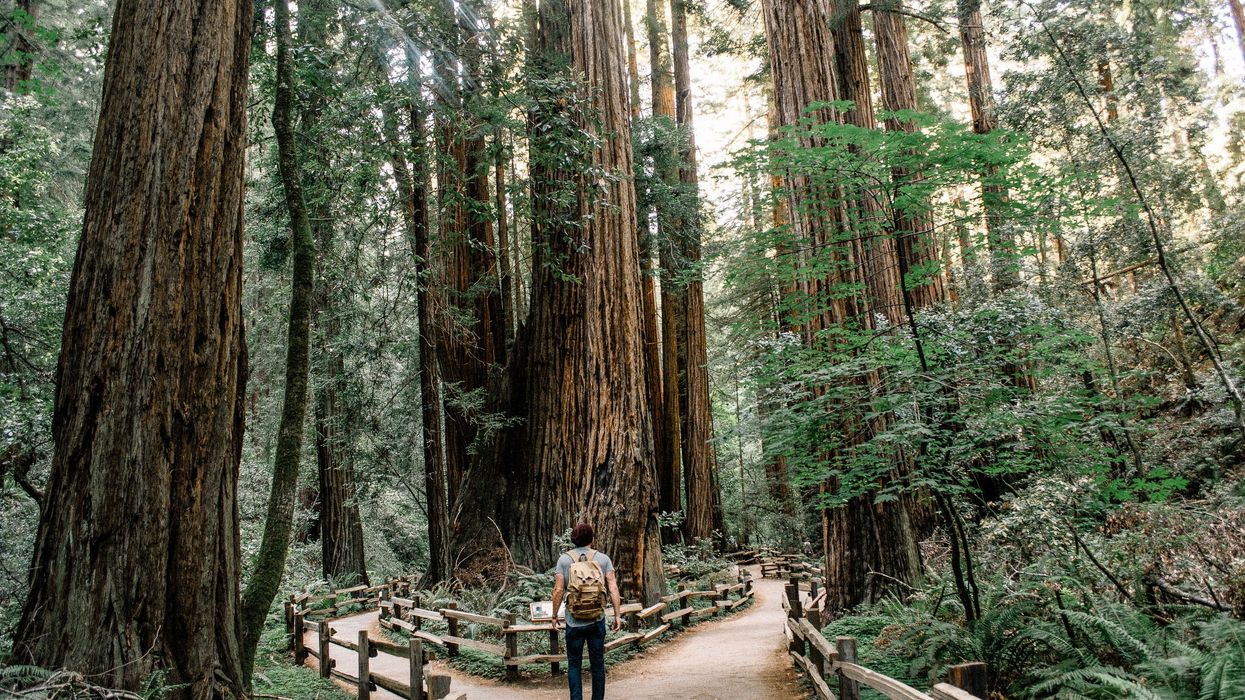 People Break Down The Most Beautiful Places To Visit In The United States