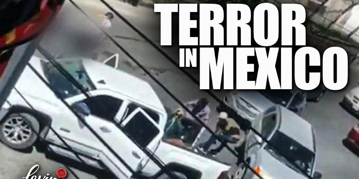 NextImg:Levin: Narco-terrorist state on our southern border