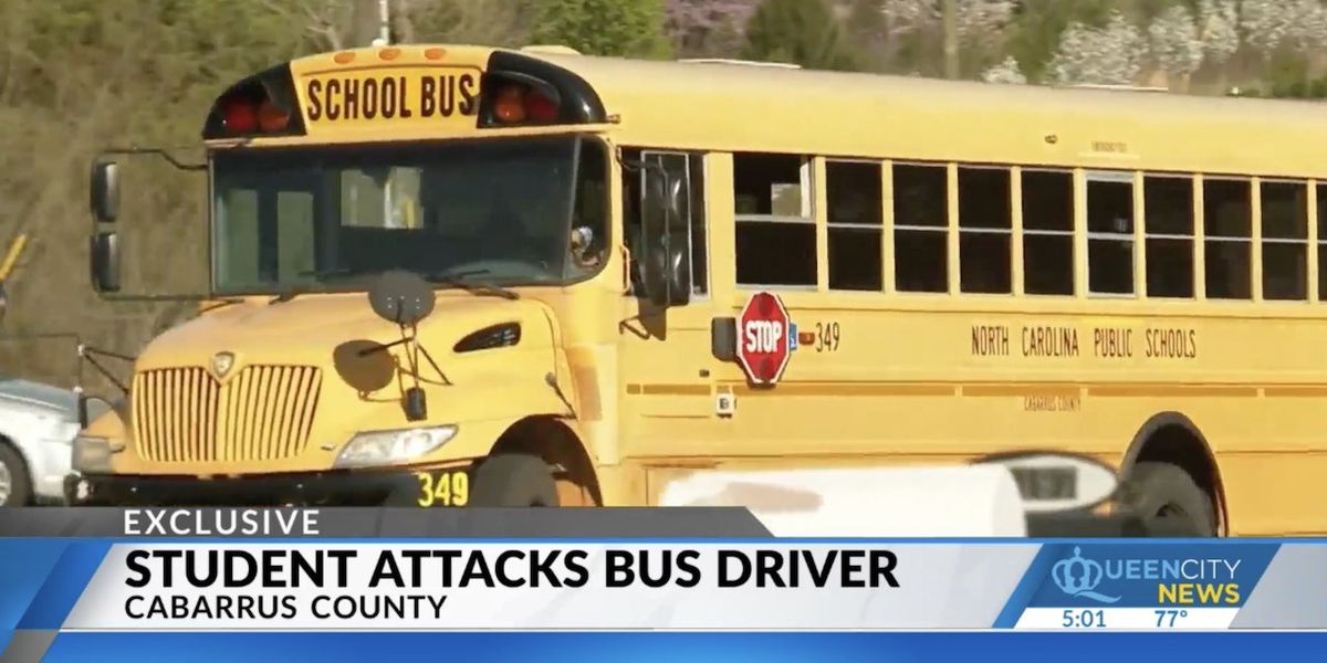 NextImg:84-year-old school bus driver punched in face by student outside HS: 'There’s just no reason ... to go after somebody who can’t defend themselves'