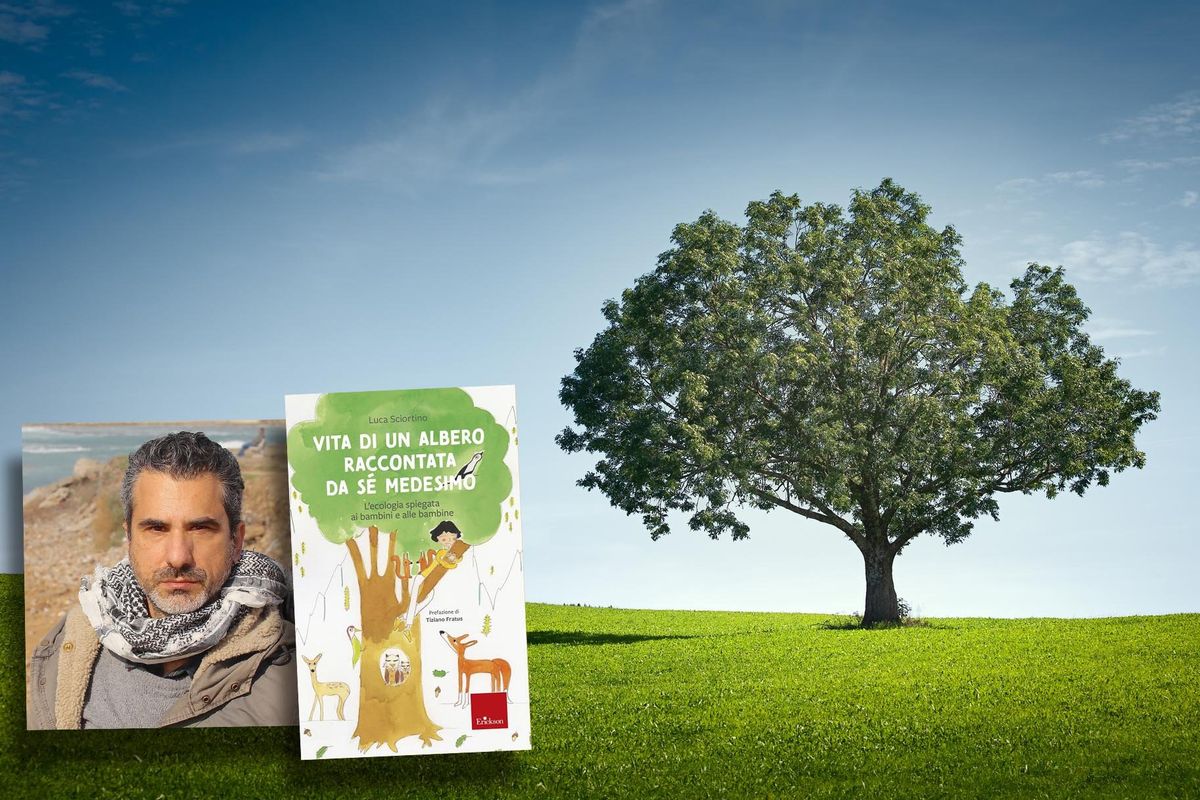 «Sono diventato quercia. Ecco come vivo»