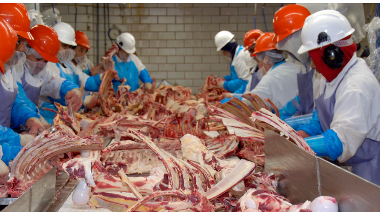 Why Republicans Are Bringing Back Child Labor -- Even In Slaughterhouses