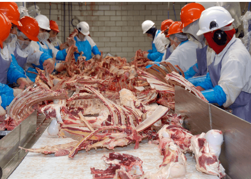 Why Republicans Are Bringing Back Child Labor -- Even In Slaughterhouses