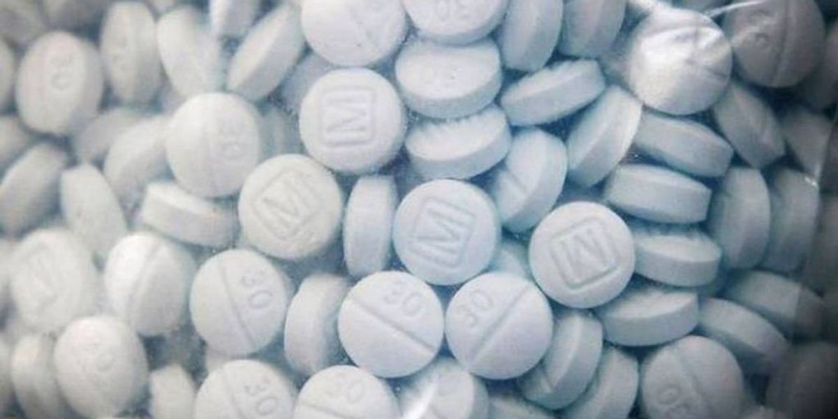 NextImg:Four brothers sentenced to decades in prison for fatal fentanyl and heroin trafficking