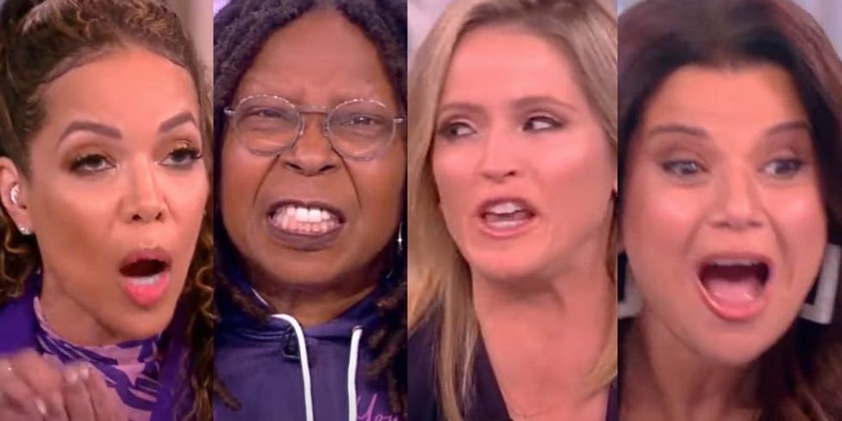 NextImg:'The View' co-hosts melt down after Democrats turn on Kamala Harris for the 2024 ticket: 'I don't know what the hell is wrong!'