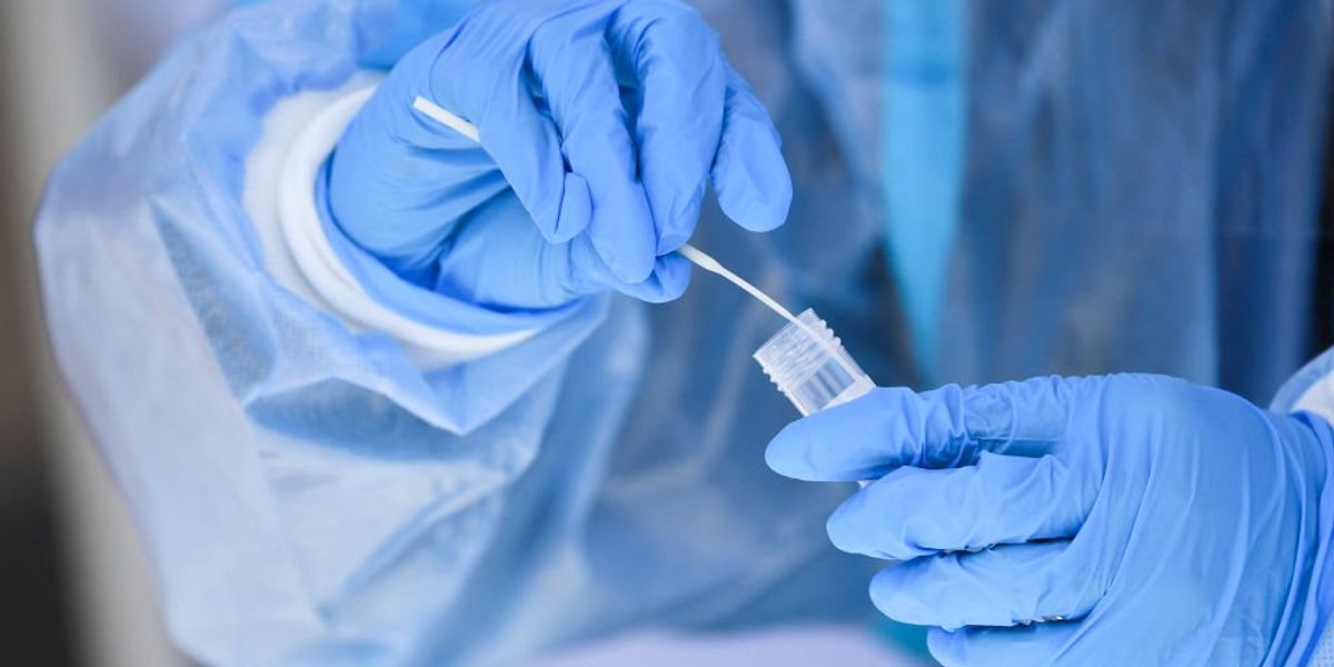 NextImg:COVID testing company faked tests, threw samples away while taking $83 million in government funding, says DOJ