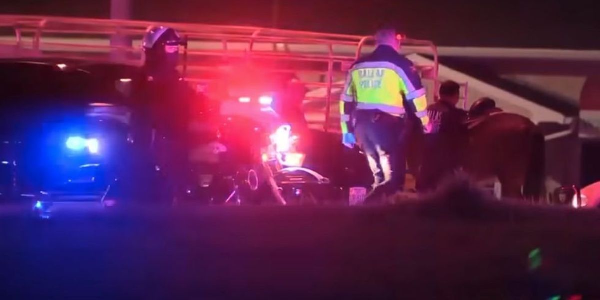 NextImg:Teenager and 2 horses killed in car accident after 3 teens steal horses in Texas