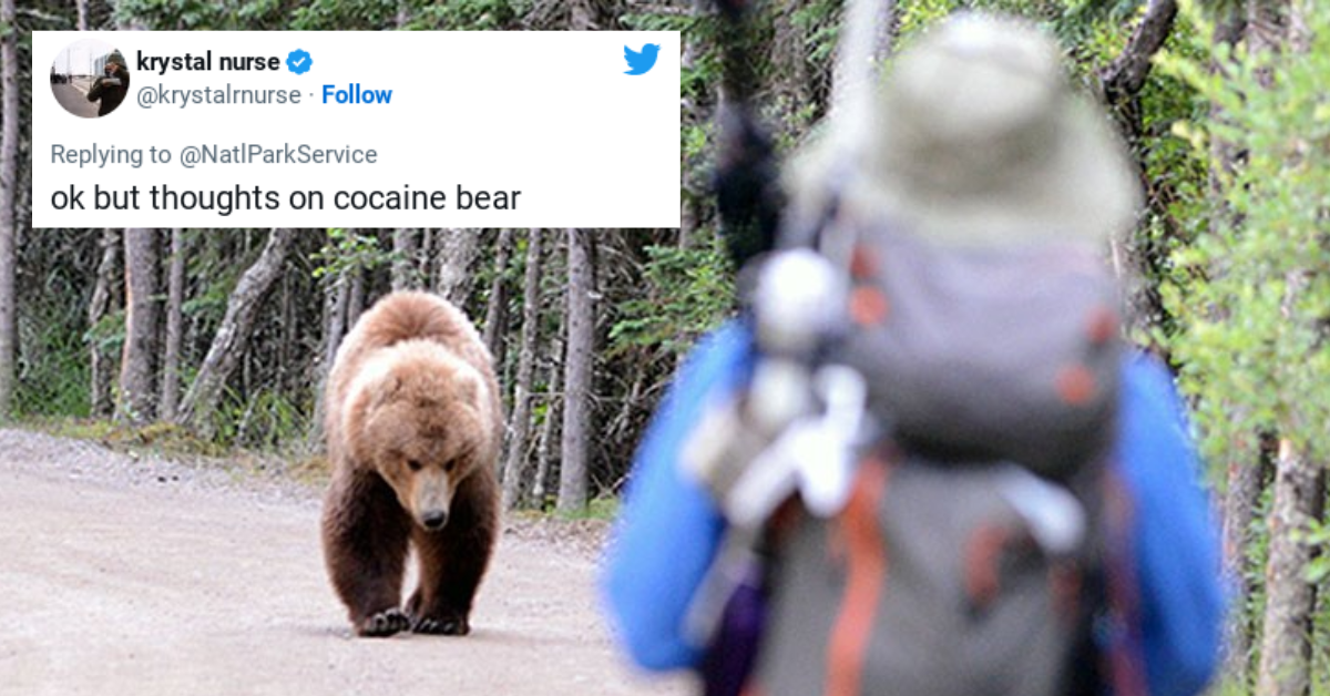 bear approaching person with tweet from @krystalrnurse overlaid