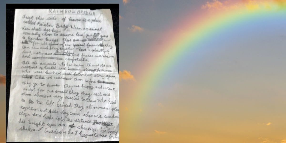 Author of 'Rainbow Bridge' poem is a woman in Scotland - Upworthy Author of 'Rainbow Bridge' poem is a woman in Scotland - Upworthy