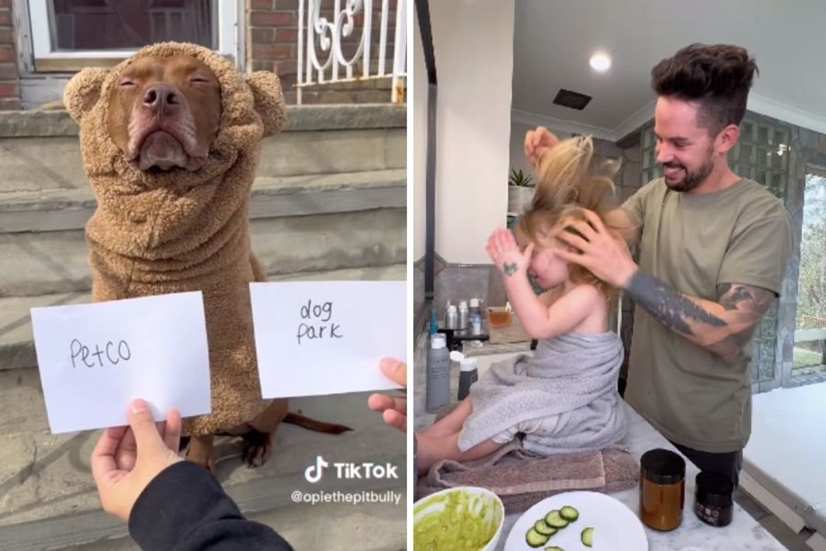 dog, dad and daughter