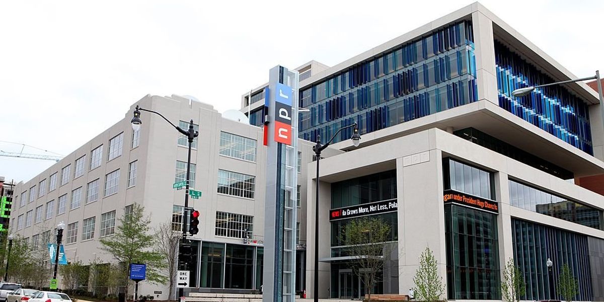 NextImg:NPR gets roasted for claiming there's 'limited scientific evidence' men have 'physical advantage' over women in sports: 'Beyond a joke'