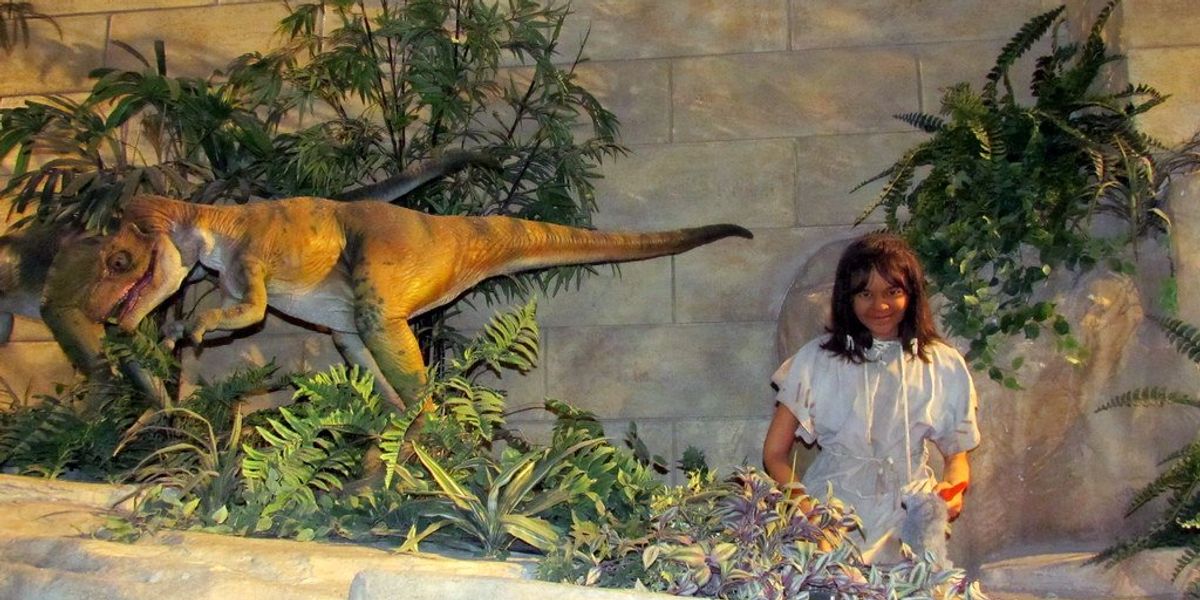 Famous Creationist Decries Kentucky Governor's 'Disregard' Of 'Science' - Vimarsana News