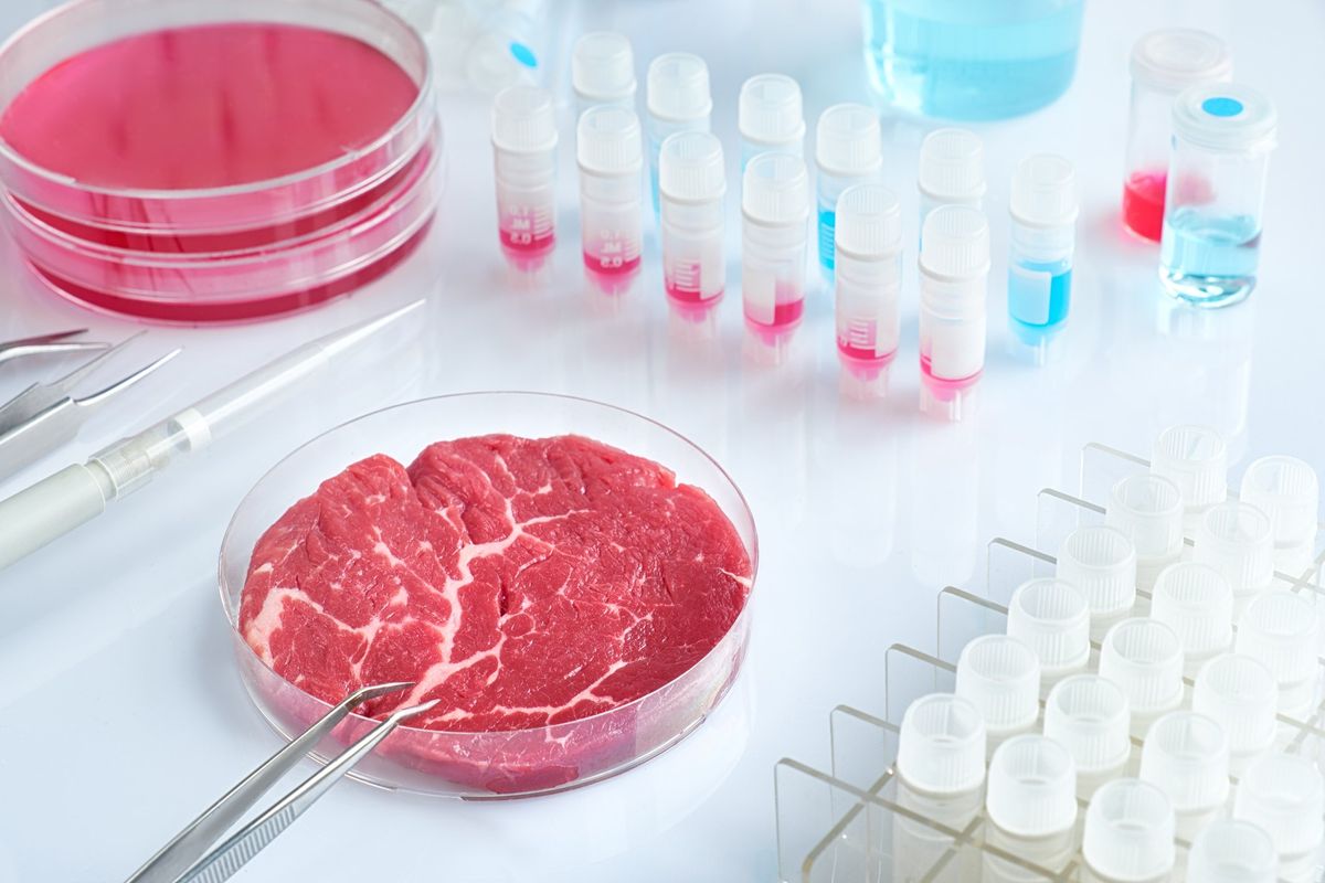 L’Italia vieta di produrre carne e alimenti in provetta. Maxi multe e confische