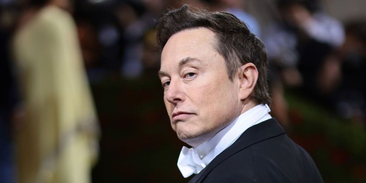 NextImg:Elon Musk, tech experts urge AI labs to pump the brakes on further development, citing 'profound risks to society and humanity'