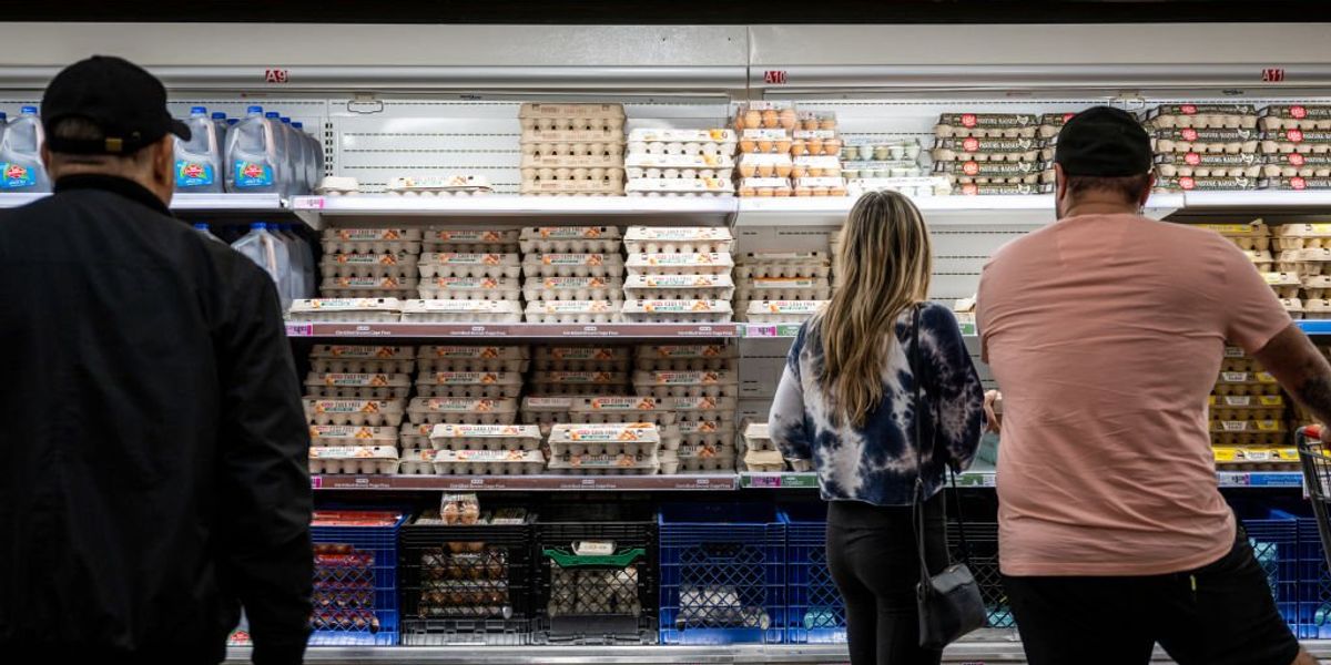 NextImg:Largest egg producer in US sees 718% profit growth, but just 1% increase in eggs sold