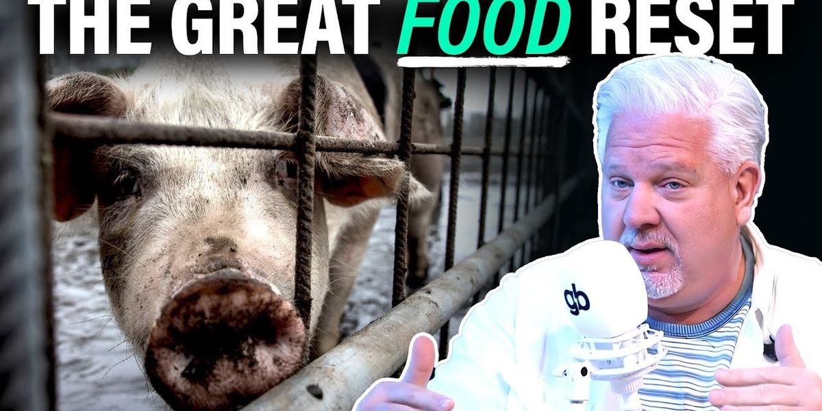 This TERRIFYING plan could RESET FOOD throughout the WORLD - Vimarsana News