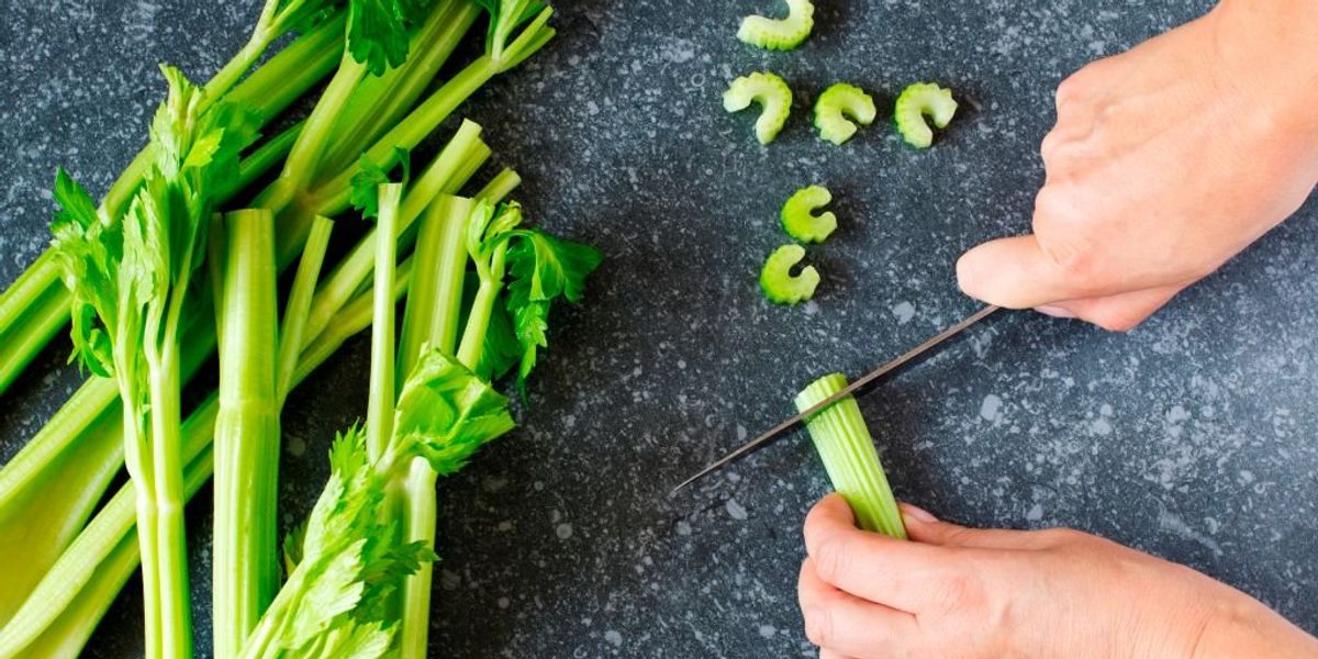NextImg:Plants emit ultrasonic screams when stressed: Study