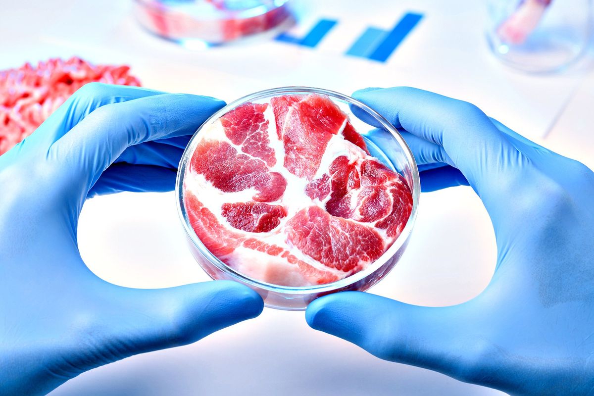 «Con la carne sintetica il cibo finirà in mano a Big Pharma»