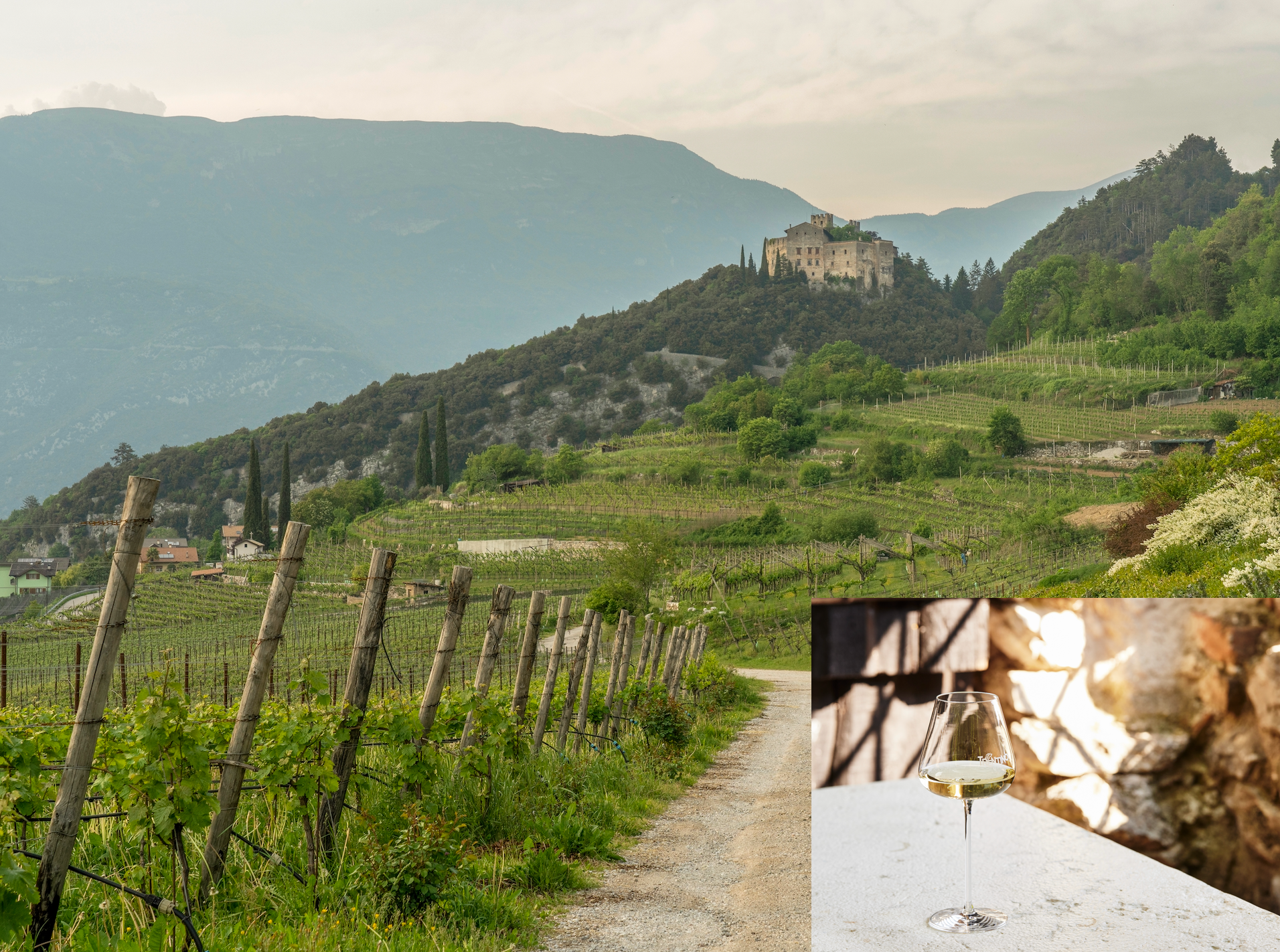 In Trentino la Pasqua porta con sé il miracolo enologico del vino santo
