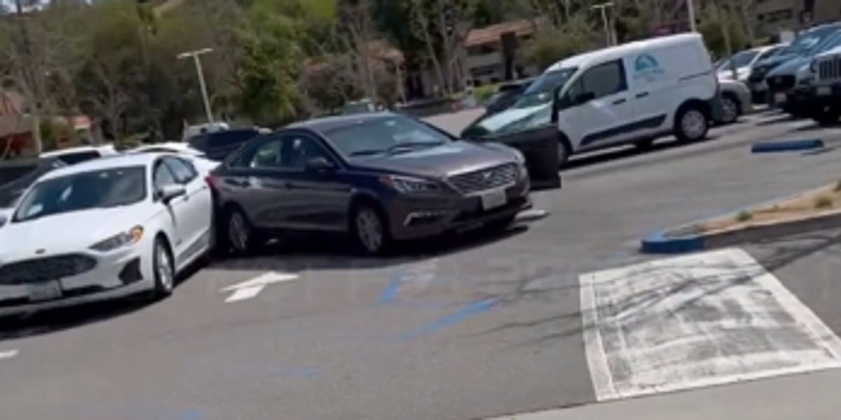 NextImg:Viral video shows woman driver go on erratic rampage during carjacking in Los Angeles, citizens tackle suspect