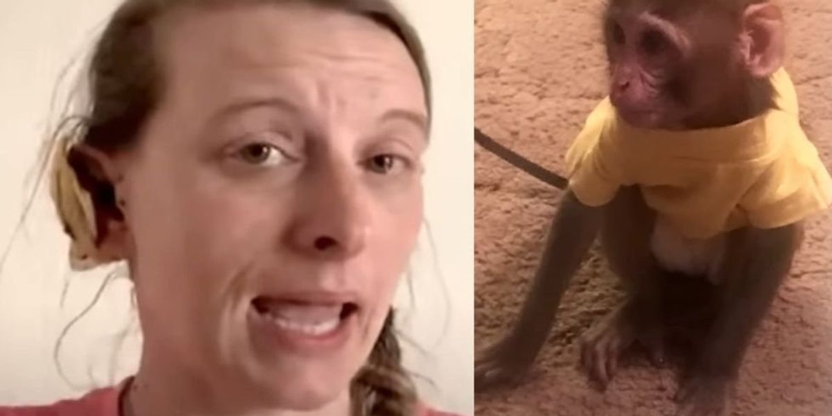 NextImg:Woman says neighbor's pet monkey nearly ripped her ear off and slapped her friend in the face before he shot it to death