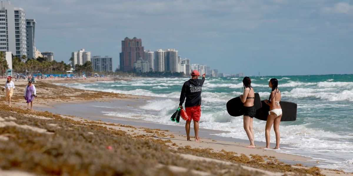 NextImg:Spring break stinker: 5,000-mile-wide seaweed blob creeps toward Florida beaches