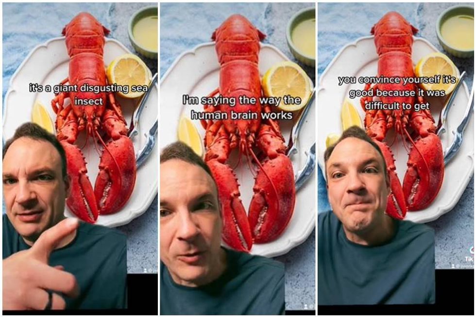 Author is causing debate over theory that we've 'tricked' ourselves into loving lobster