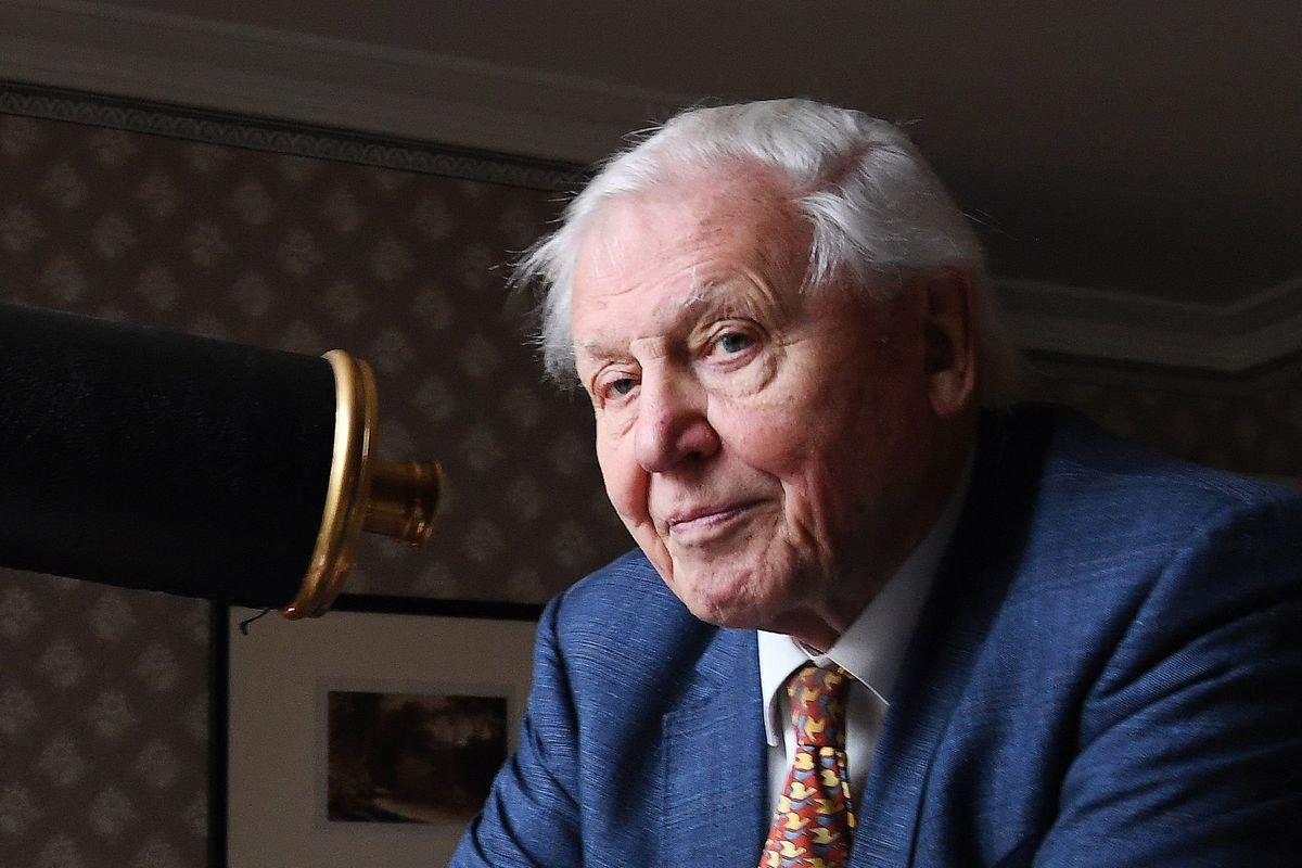 Why David Attenborough Should Stop Saying Climate Change Is a Crime Against the Planet