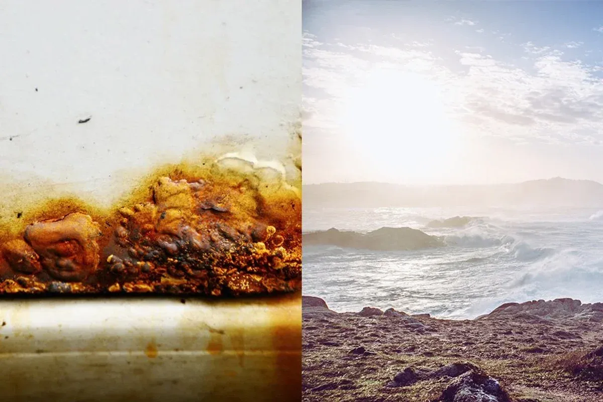 optical illusion, car door or beach, Twitter, pop culture