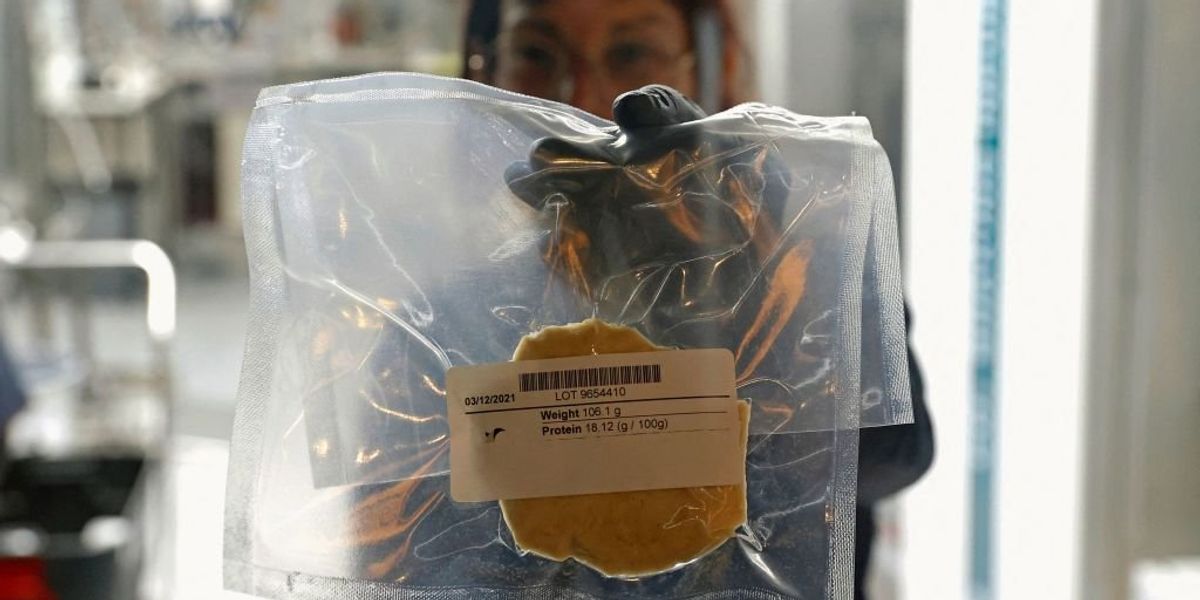 NextImg:Lab-grown ‘GOOD Meat’ receives clearance from FDA