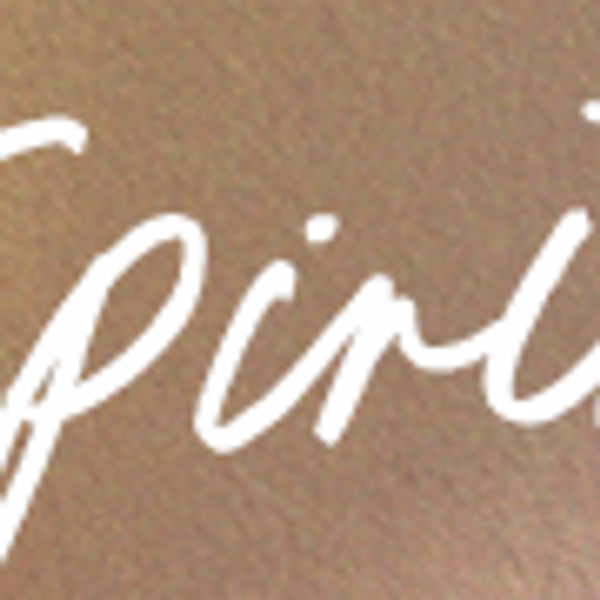 Spirit