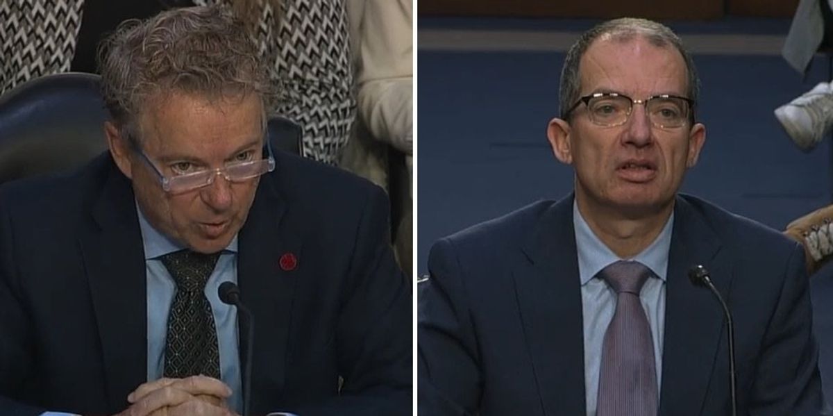 NextImg:Rand Paul confronts Moderna CEO about myocarditis risk from COVID vaccine — then reveals what Moderna's prez secretly told him